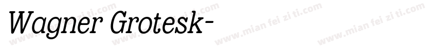 Wagner Grotesk字体转换